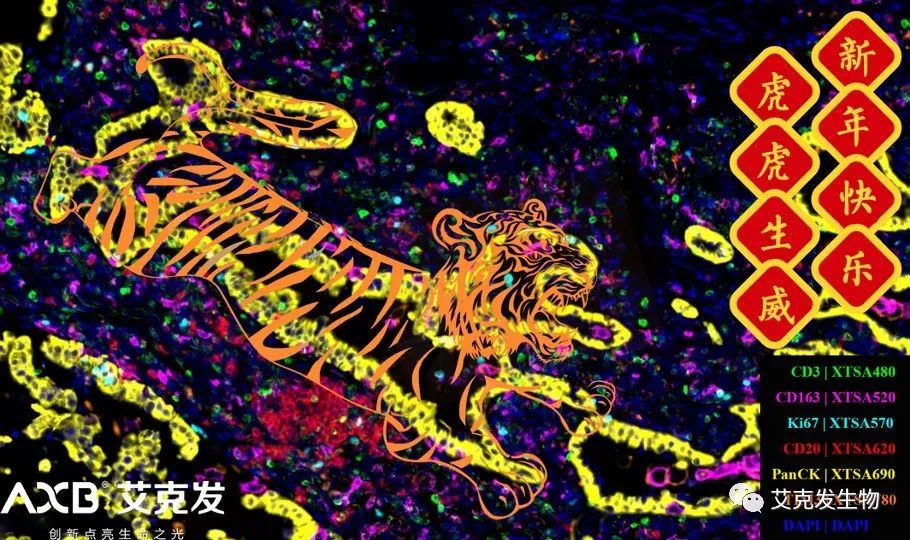 「如虎添翼」新的一年，艾克發(fā)生物愿與您攜手共進(jìn)